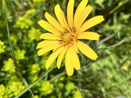 23-05-21 12-31-18 5515